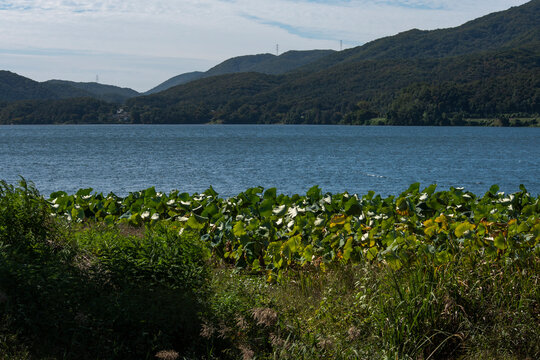 남양주 다산생태공원과 팔당호 한강 풍경, Scenery of Dasan Ecological Park in Namyangju, Paldang Lake, and the Han River
