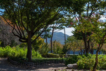 Fototapeta premium 남양주 다산생태공원 풍경, Scenery of Dasan Ecological Park in Namyangju 