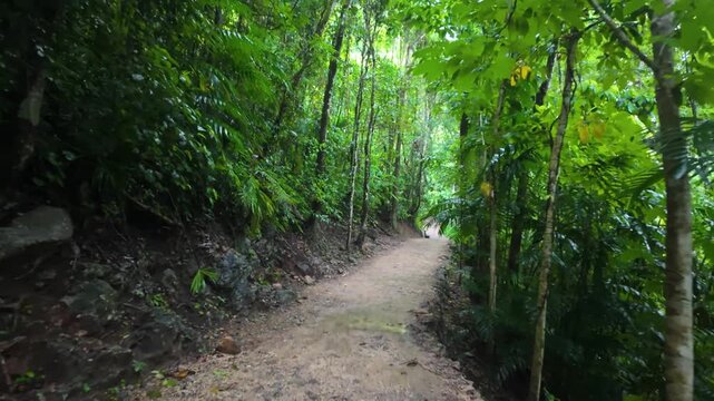 Rainforest Hiking Trail Entrance at Semuc Champey Park