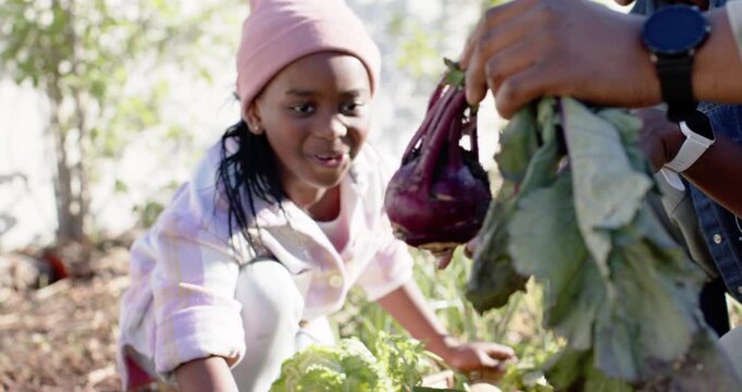 Parent and African American child crouching garden, adult holding kohlrabi urging placing in basket