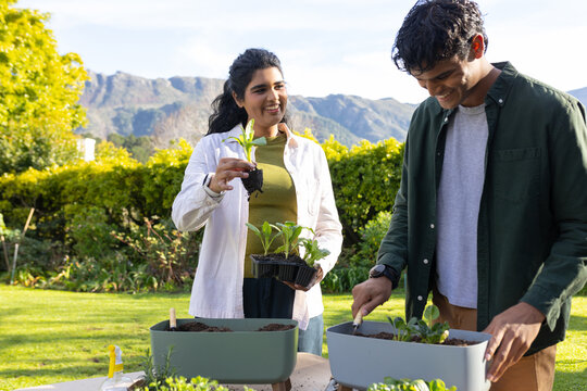 Diverse couple wearing casual clothes working and planting seedlings at garden table with trowel