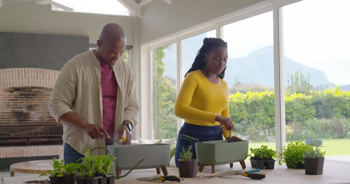 African American couple after arranging supplies potting herbs at wooden table to fill planters
