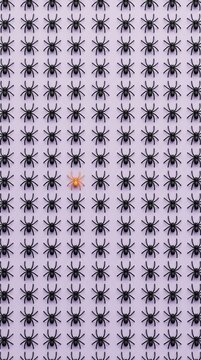 Find the different orange spider hidden among a grid pattern of black spiders on purple background