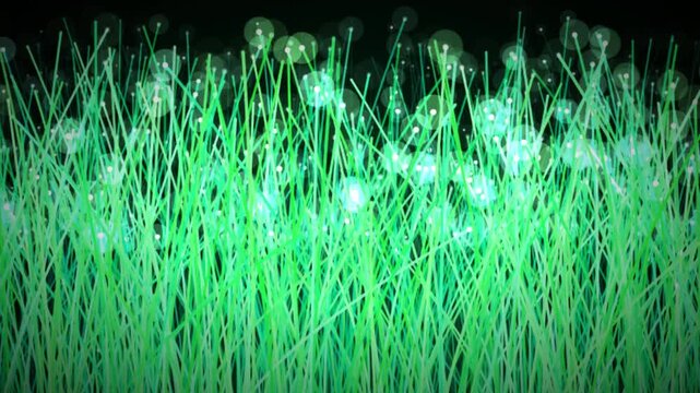 Glowing green grass with luminous tips on black background. 4K video