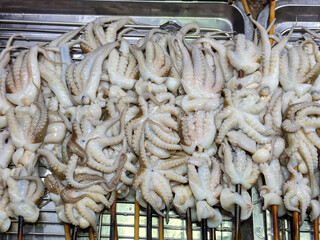 A dense pile of small pale octopus tentacles skewered on wooden sticks, heaped inside a stainless steel tray. © Suphattra