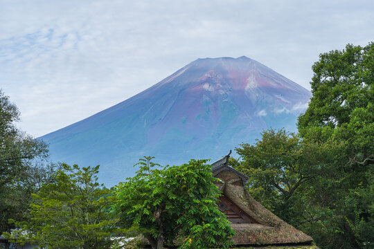 日本の風景【山梨県】忍野八海・茅葺き屋根越しに見る夏の富士山