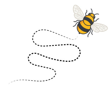 Bee flying path. A bee flying in a dotted line. The flight path of bee. Bee flying on a dotted route. Hand drawn bees. Vector illustration.