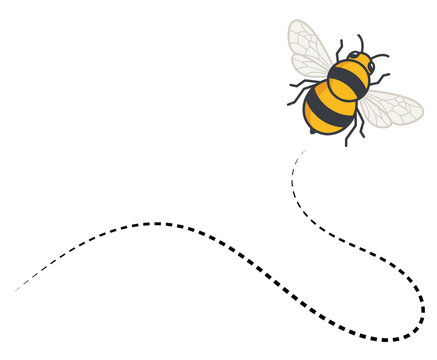 Bee flying path. A bee flying in a dotted line. The flight path of bee. Bee flying on a dotted route. Hand drawn bees. Vector illustration.