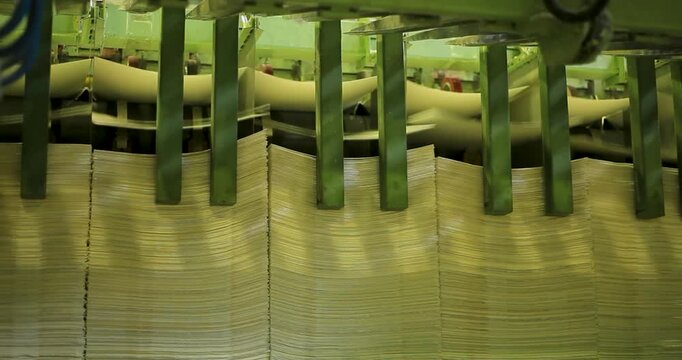 Pressing the paper pulp: The wet sheet is passed through heavy rollers.The production process at the Eucalyptus Pulp and Paper Mill.