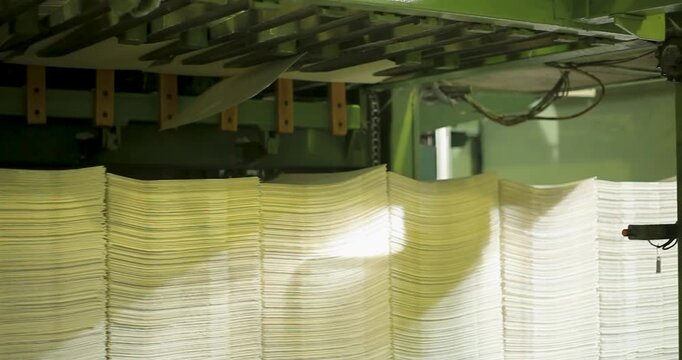 Pressing the paper pulp: The wet sheet is passed through heavy rollers.The production process at the Eucalyptus Pulp and Paper Mill.