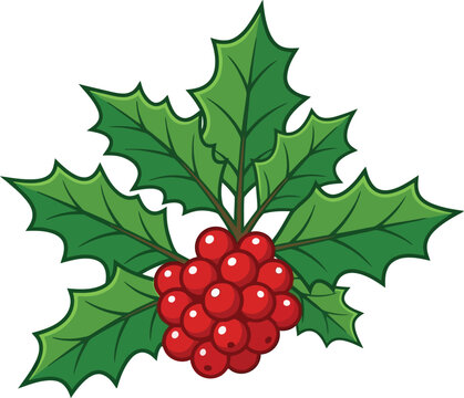 Christmas holly branch with red berries and green leaves, festive winter holiday botanical vector, traditional seasonal decoration for greeting cards