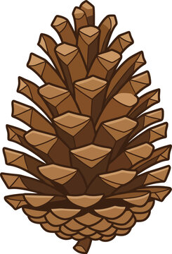 Brown pine cone vector illustration, rustic forest pinecone icon, autumn botanical element for seasonal decor and winter holiday design