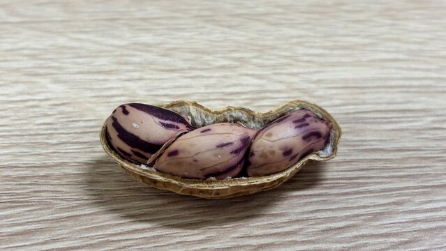 Close up of raw striped peanut with three seeds inside an open shell resting on a light wooden table background showcasing organic agricultural textures and natural food patterns