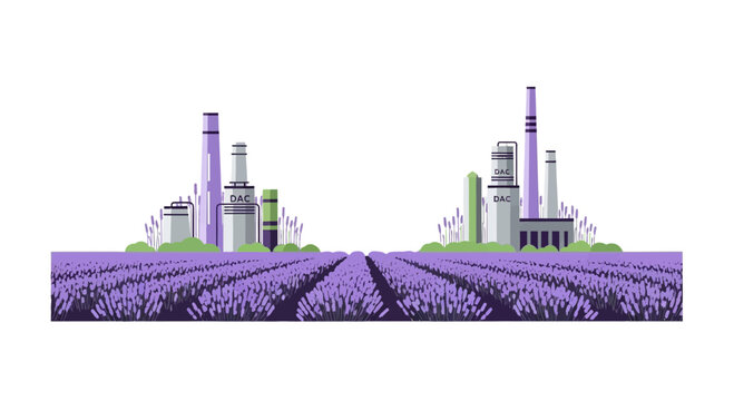Direct Air Capture DAC plants in lavender field vector illustration