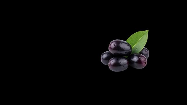 Fresh java plum jamun with green leaf rolling isolated on black background   