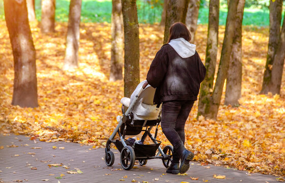 Mother wheeling a pram in the Park