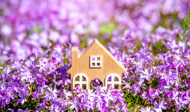 The symbol of the house on the background of purple flowers