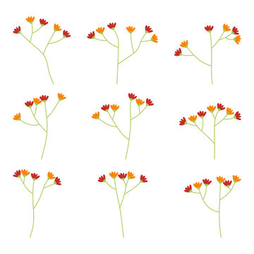 Hand Drawn Flowers Create Colorful Botanical Sprigs