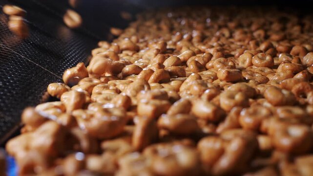 Close-up of golden Italian taralli, traditional ring-shaped baked snacks, moving along a conveyor after baking. Crispy savory pastries with a golden crust and appetizing texture.