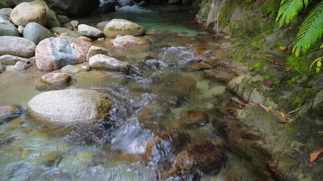 Crystal Clear Tropical Creek Flowing Over Rocky Stream Bed 4K