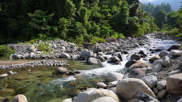 Scenic Tropical Mountain River With Rocky Rapids in the philipines