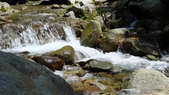 Small Waterfall Over Mossy Tropical River Rocks 4K