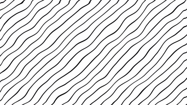 Abstract curved wavy lines pattern seamless loop copy space background animation. Slow motion with transparent background in 4k.