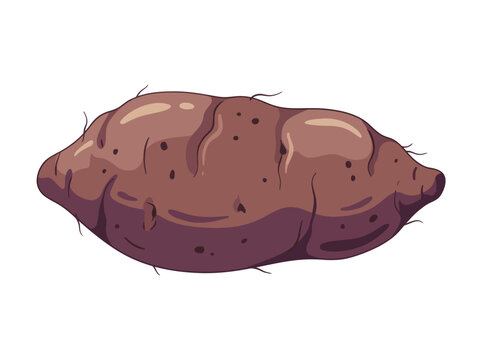 Fresh Purple Ube Yam Tuber with Fine Root Hairs and Natural Skin Flat Vector Illustration Isolated on White