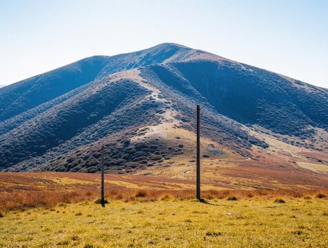 Panoramic view of large mountain under clear blue sky. High hills covered with dark green forest, brown grass. Remote landscape shows natural beauty during summer. Scenic wilderness mountainside with