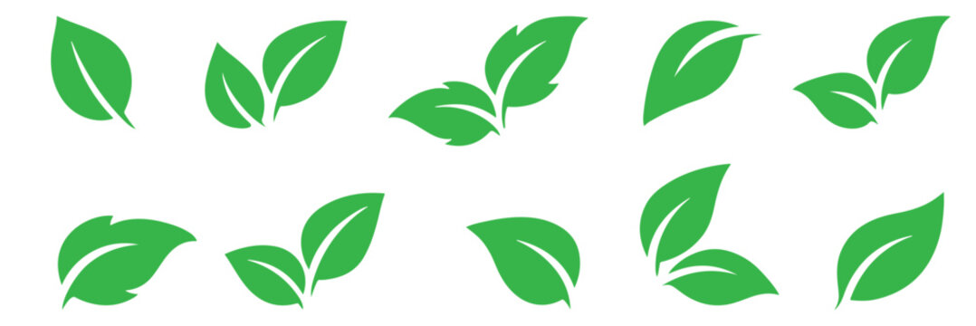 Leaf sprout icon vector set, green leaves plant eco logo symbol simple graphic illustration set, vegan fresh herb pictogram shape sign, organic natural healthy logotype eps 10