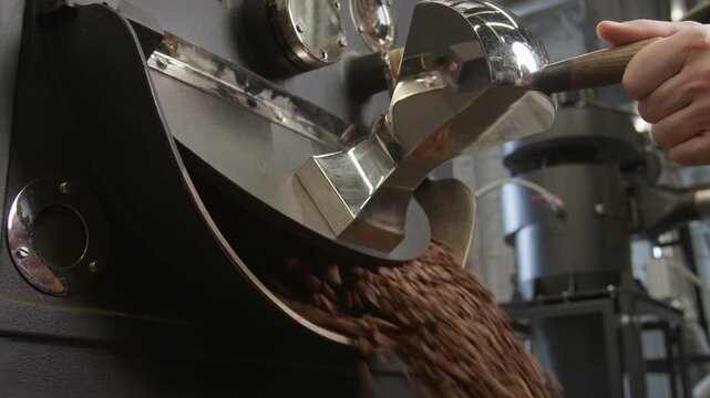 Freshly roasted coffee beans pouring from roaster drum