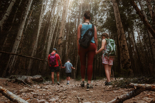 Family of four hiking together through a dense forest