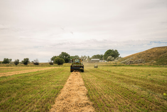 Green tractor gathering hay into a windrow on a farm