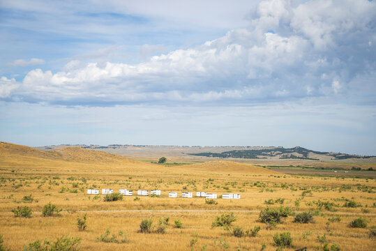 White beehives sitting in a vast open grassy field