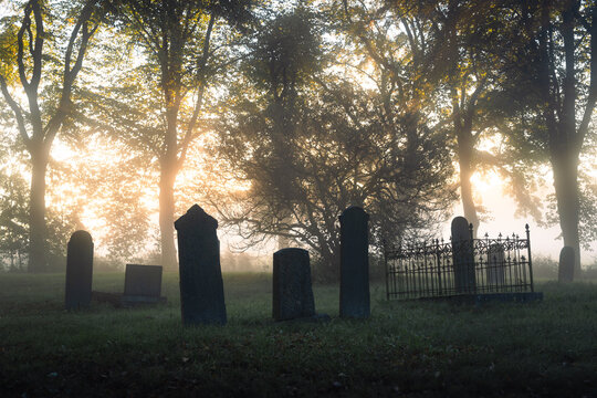 Tombstones at a graveyard on a foggy, autumn morning.