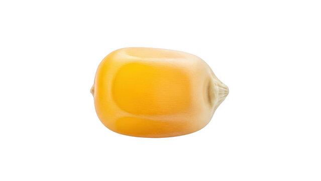 Single yellow corn kernel isolated on a white background showing texture and detail