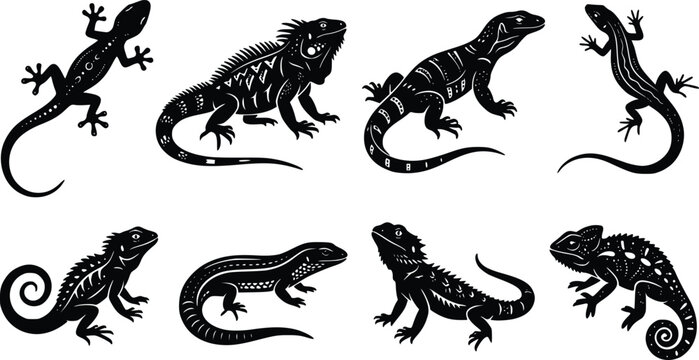 Lizard and reptile silhouette vector set featuring detailed black silhouettes of iguana chameleon gecko and bearded dragon species