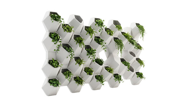 Modern hexagonal vertical garden planter, modular white ceramic wall flowerpot divider, contemporary indoor green plant wall installation isolated PNG with Transparent Background