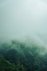 Scenic hill station landscape in India with green mountains, misty valleys and forest. Beautiful Himalayan scenery, ideal for travel, tourism, nature and holiday destination themes. © Sanket Mishra