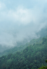 Scenic hill station landscape in India with green mountains, misty valleys and forest. Beautiful Himalayan scenery, ideal for travel, tourism, nature and holiday destination themes. © Sanket Mishra