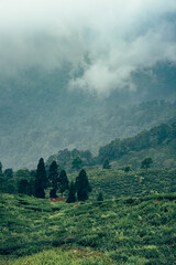 Scenic hill station landscape in India with green mountains, misty valleys and forest. Beautiful Himalayan scenery, ideal for travel, tourism, nature and holiday destination themes. © Sanket Mishra