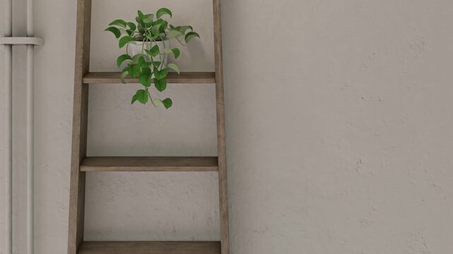 Minimalist 3D rendering animation showing a potted green pothos plant resting on a rustic wooden ladder against a textured white wall.