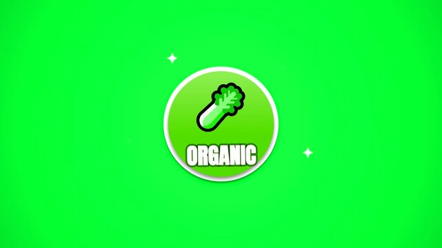 Organic celery food icon animation, green screen chroma key background graphic, fresh vegetable symbol motion asset