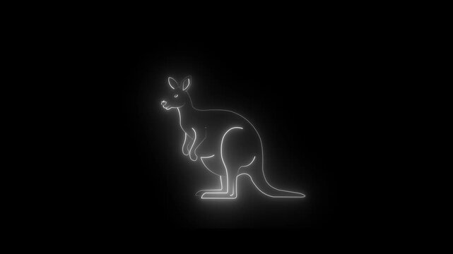 Neon glowing white color kangaroo icon isolated on black background. 4k video animation.