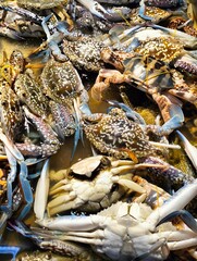 Large group of colorful patterned crabs piled together in shallow water seafood market © Faizulsuleiman