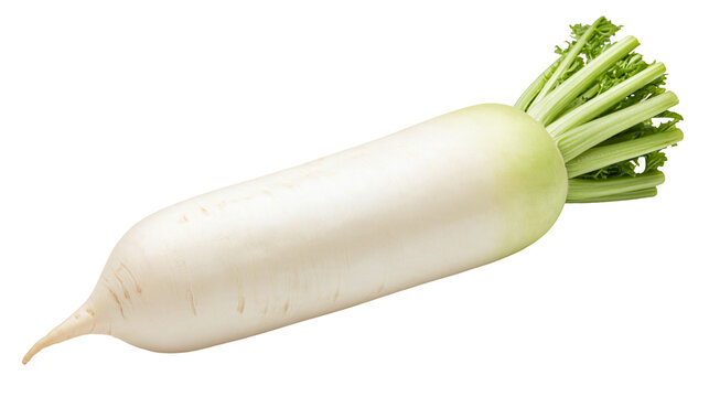 Fresh whole white daikon radish with green leafy tops