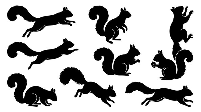 Black squirrel silhouette set showing jumping and climbing poses