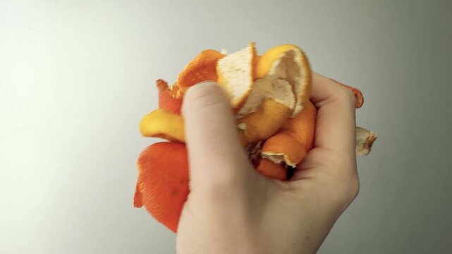 Hand Holding a Fistful of Satsuma and Mandarin Peel