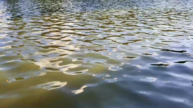 Sunlight Rippling Across a Calm Water Surface