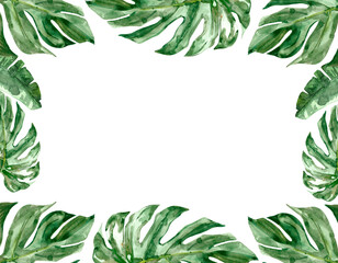 Tropical monstera leaves watercolor frame illustration isolated on white. Hand drawn sketch with green leaves botanical painting jungle flora © Yanna Verver
